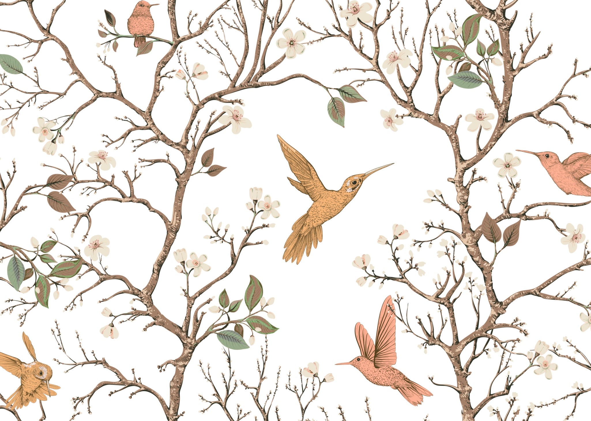 hummingbird wallpaper